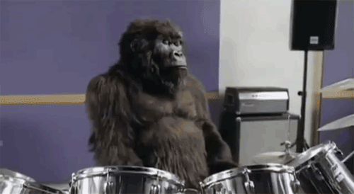 drumming-gorilla-animated.gif